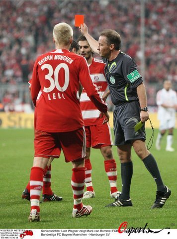 仅是球迷的 仅是球迷的